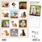 Kittens & Puppies | 2026 12 x 24 Inch (Hanging) Monthly Square Wall Calendar | Foil Stamped Cover